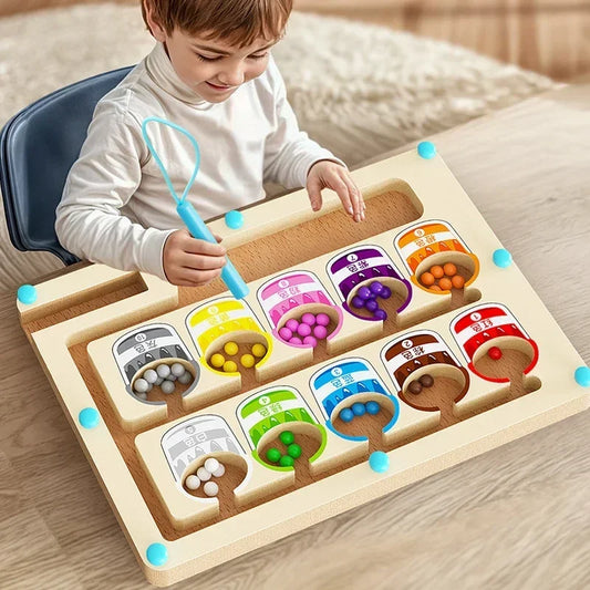 Montessori Magnetic Color Sorting Maze
